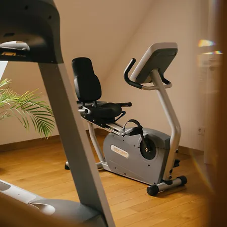 호텔 Traube Blansingen 에프링겐-키르헨