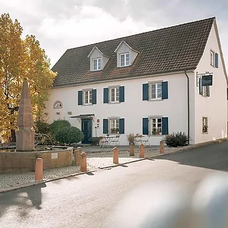 Traube Blansingen Otel 4*