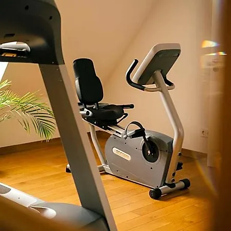 Traube Blansingen Otel 4*