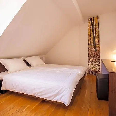 Traube Blansingen Otel 4*