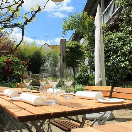 Traube Blansingen 4* 에프링겐-키르헨