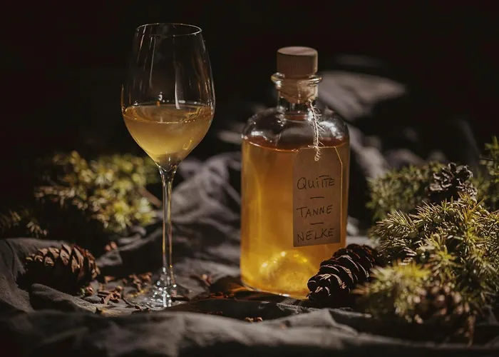 Hotel Traube Blansingen 4*